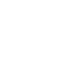 Ricerca