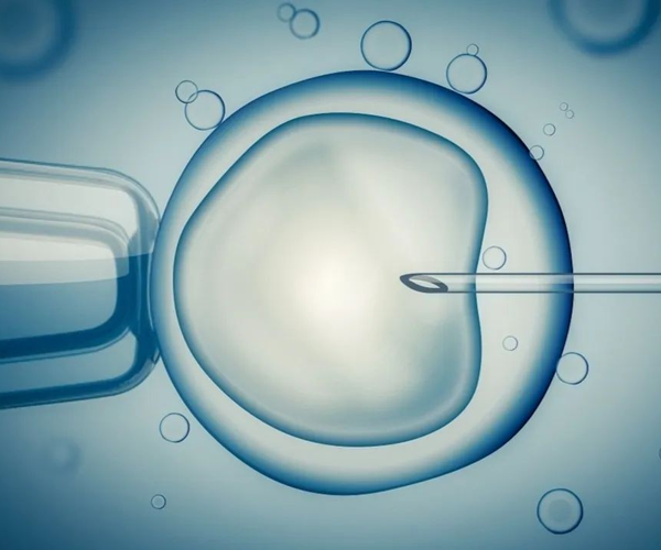 Materiali di consumo monouso per applicazioni riproduttive - Piastre di coltura per fecondazione in vitro