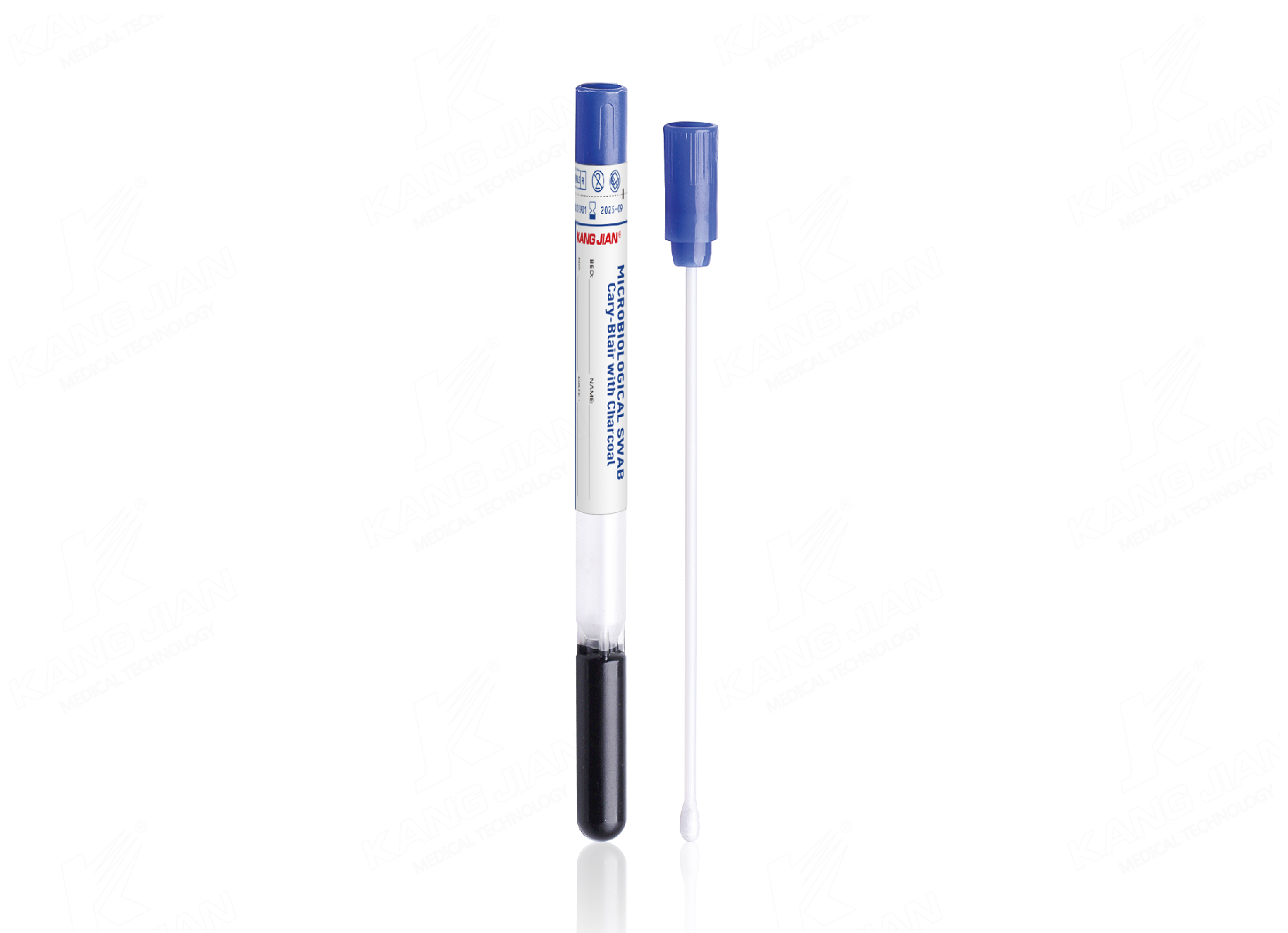 Gel di agar Cary-Blair con carbone