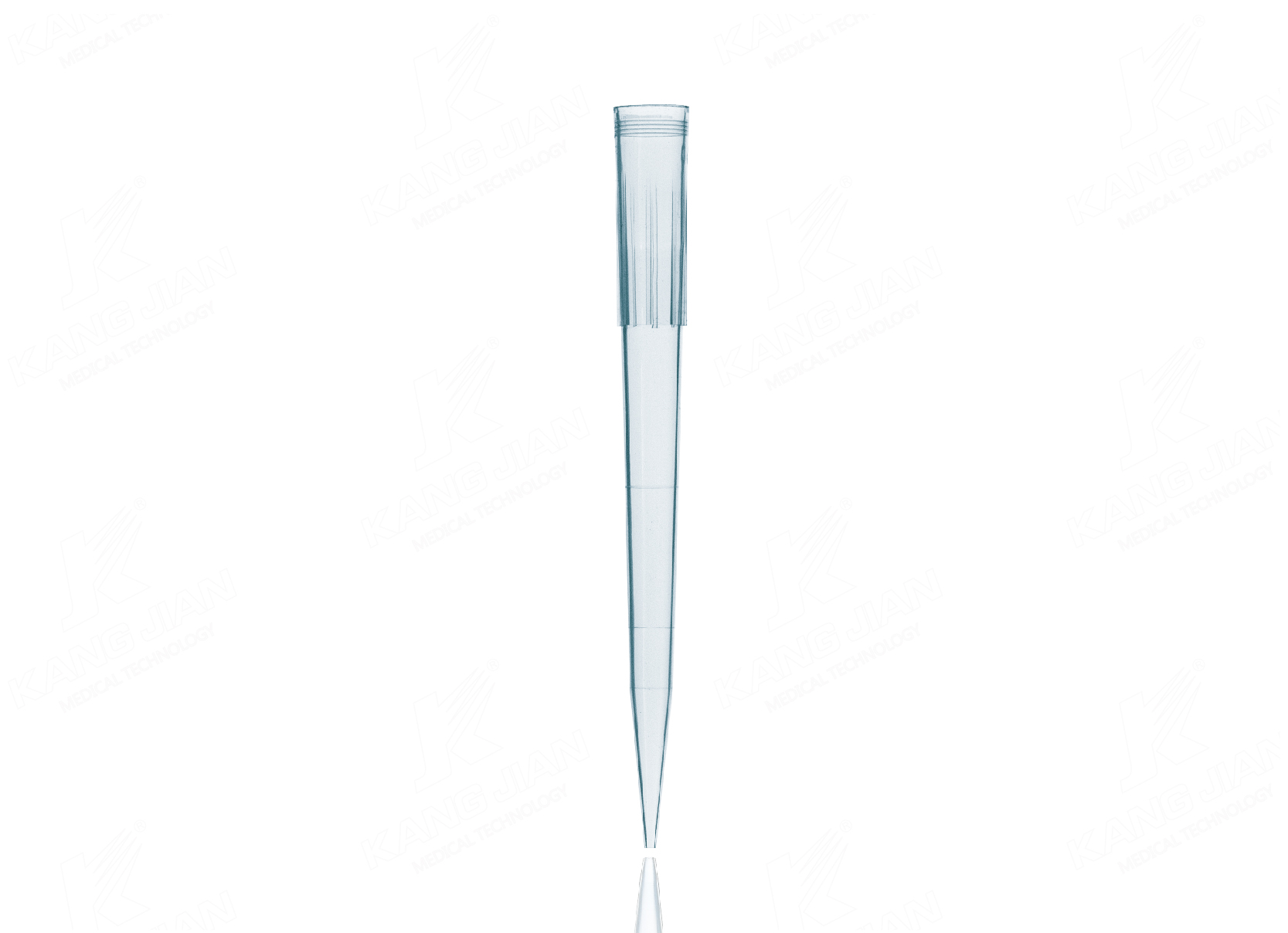 Puntale per pipetta da 1000&mu;l