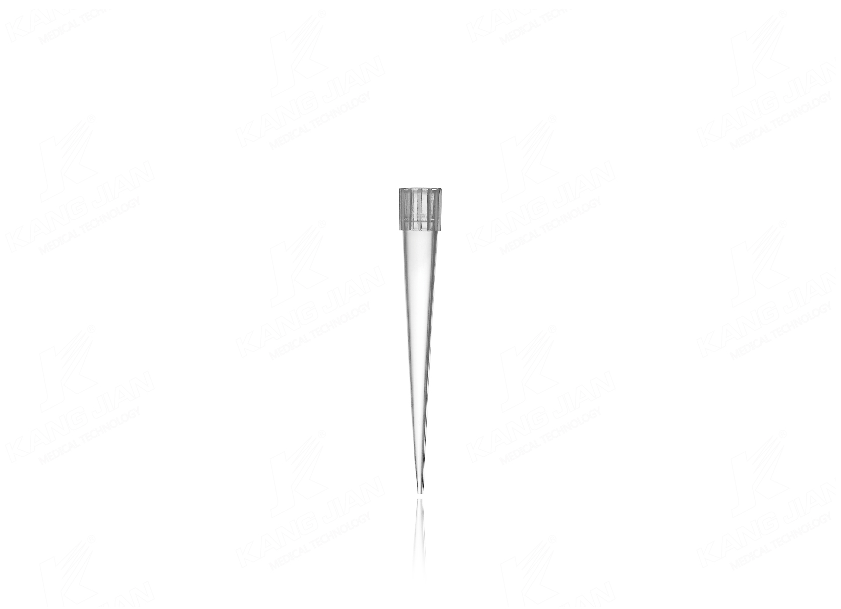 Puntale per pipetta da 250&mu;L