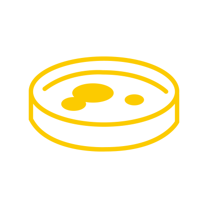 Contenitore per coltura biologica